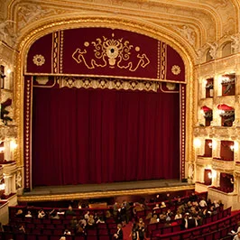 Witalex 21 Events & Leisure