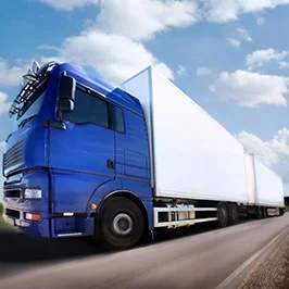 Witalex 29 Logistics